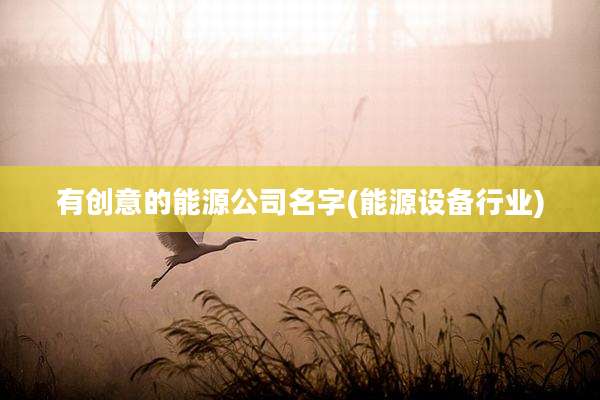 有创意的能源公司名字(能源设备行业)