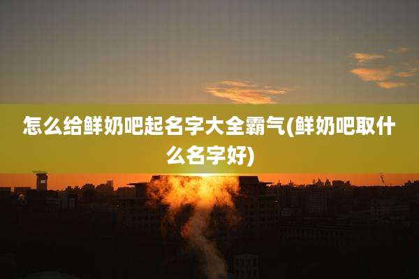 怎么给鲜奶吧起名字大全霸气(鲜奶吧取什么名字好)