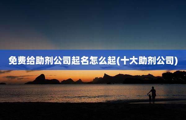 免费给助剂公司起名怎么起(十大助剂公司)