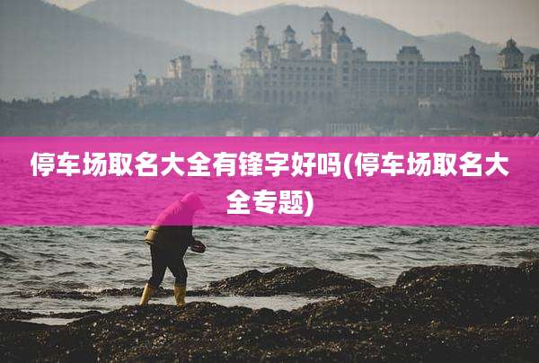 停车场取名大全有锋字好吗(停车场取名大全专题)