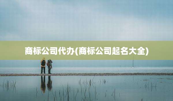商标公司代办(商标公司起名大全)