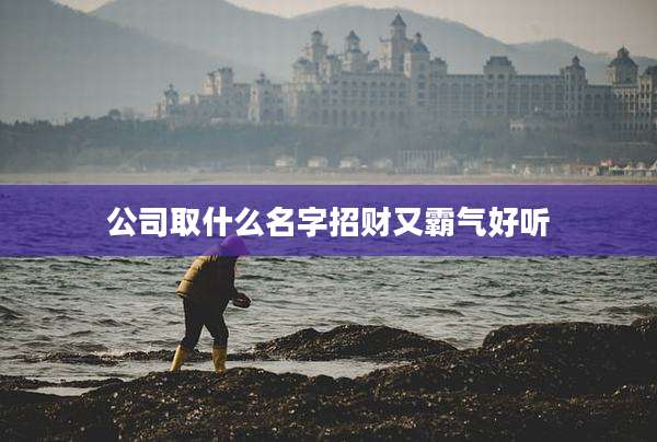 公司取什么名字招财又霸气好听