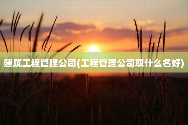 建筑工程管理公司(工程管理公司取什么名好)