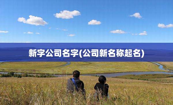 新字公司名字(公司新名称起名)