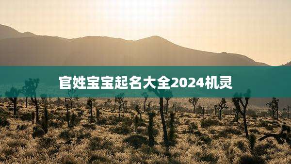 官姓宝宝起名大全2024机灵