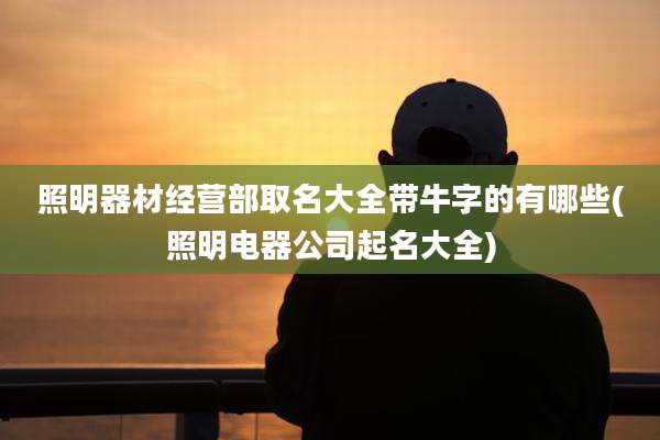 照明器材经营部取名大全带牛字的有哪些(照明电器公司起名大全)