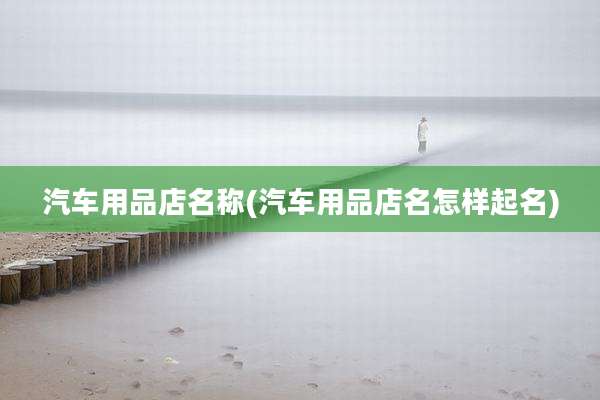 汽车用品店名称(汽车用品店名怎样起名)