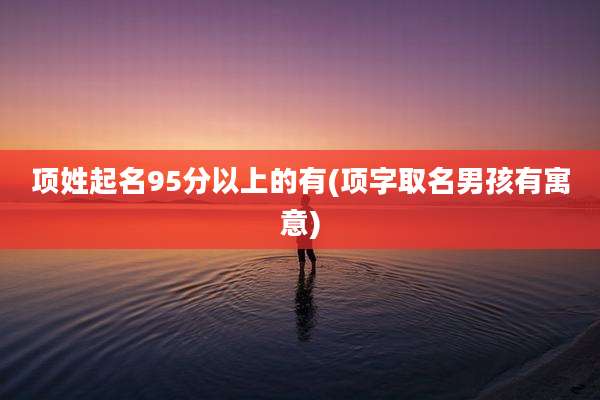 项姓起名95分以上的有(项字取名男孩有寓意)