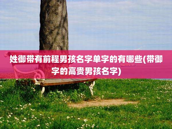 姓御带有前程男孩名字单字的有哪些(带御字的高贵男孩名字)