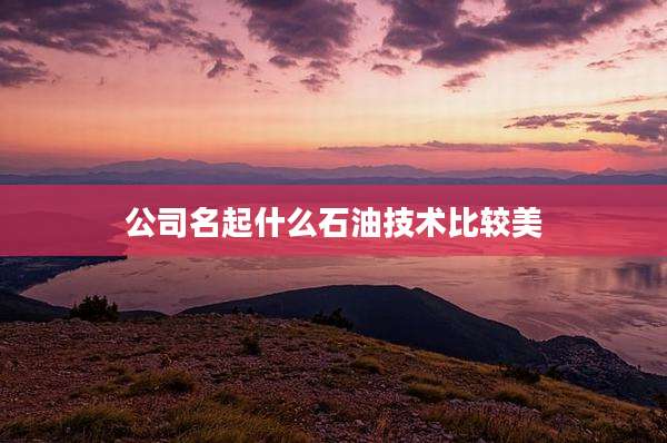 公司名起什么石油技术比较美