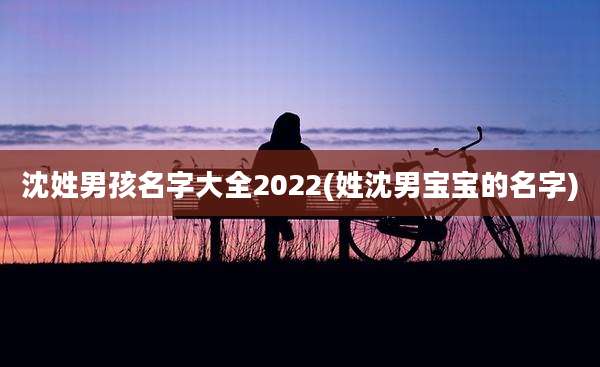 沈姓男孩名字大全2022(姓沈男宝宝的名字)