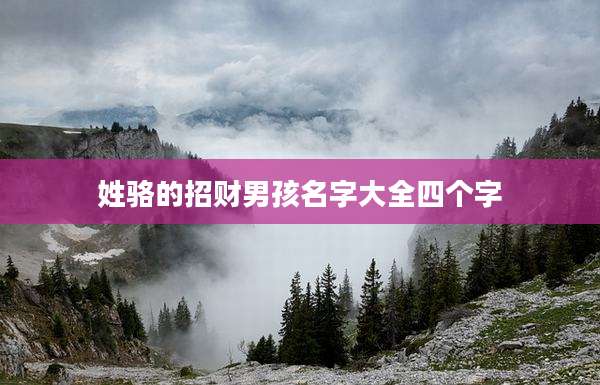 姓骆的招财男孩名字大全四个字