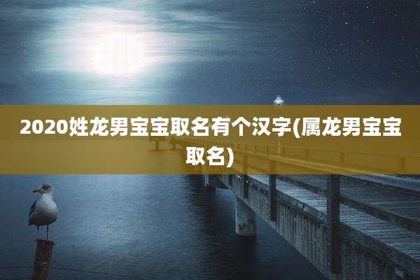 2020姓龙男宝宝取名有个汉字(属龙男宝宝取名)
