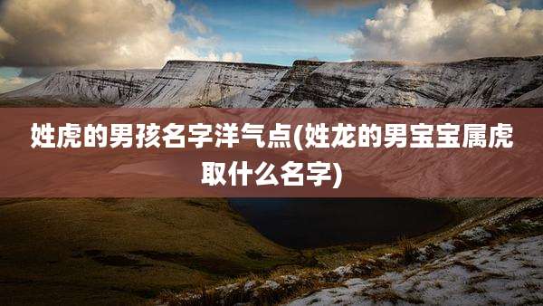 姓虎的男孩名字洋气点(姓龙的男宝宝属虎取什么名字)