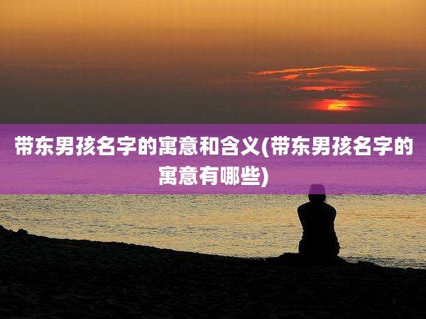 带东男孩名字的寓意和含义(带东男孩名字的寓意有哪些)