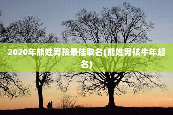 2020年熊姓男孩最佳取名(熊姓男孩牛年起名)