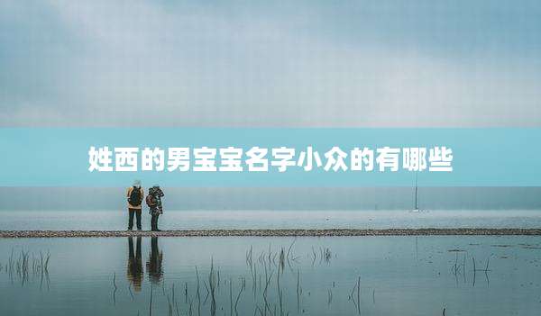 姓西的男宝宝名字小众的有哪些