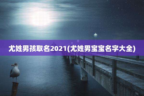 尤姓男孩取名2021(尤姓男宝宝名字大全)