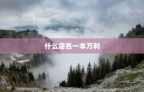 什么店名一本万利