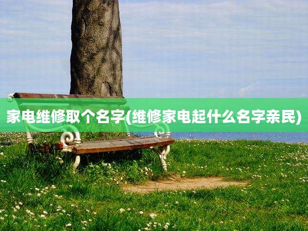 家电维修取个名字(维修家电起什么名字亲民)