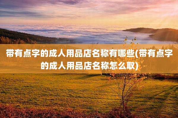 带有点字的成人用品店名称有哪些(带有点字的成人用品店名称怎么取)