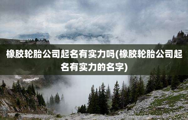 橡胶轮胎公司起名有实力吗(橡胶轮胎公司起名有实力的名字)