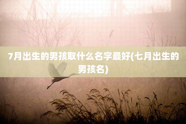 7月出生的男孩取什么名字最好(七月出生的男孩名)