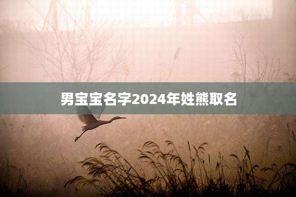 男宝宝名字2024年姓熊取名