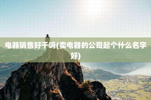 电器销售好干吗(卖电器的公司起个什么名字好)
