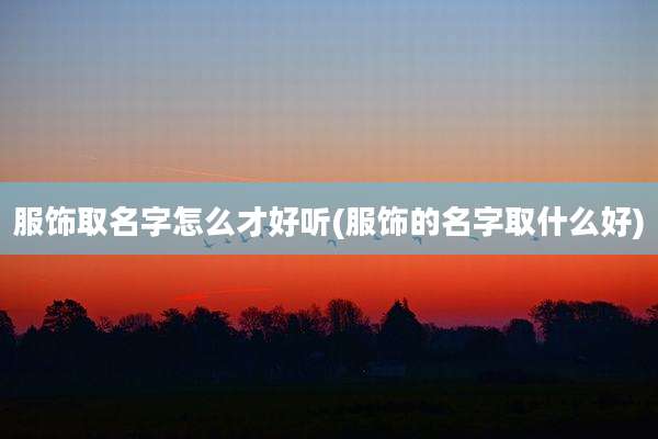 服饰取名字怎么才好听(服饰的名字取什么好)