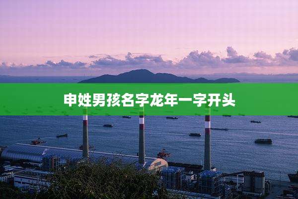 申姓男孩名字龙年一字开头