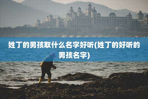 姓丁的男孩取什么名字好听(姓丁的好听的男孩名字)