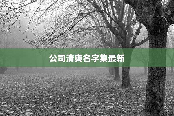 公司清爽名字集最新
