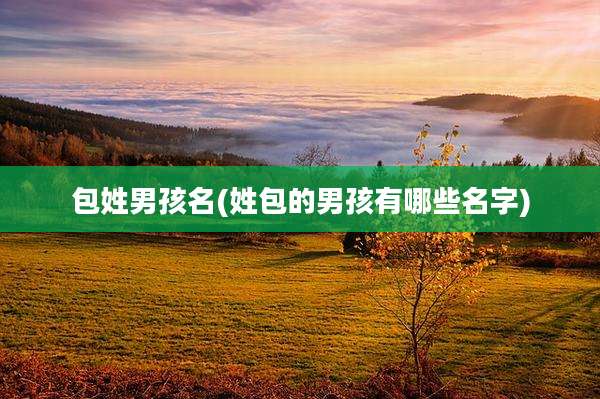 包姓男孩名(姓包的男孩有哪些名字)