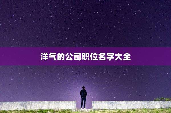 洋气的公司职位名字大全