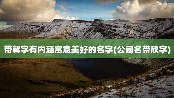 带馨字有内涵寓意美好的名字(公司名带欣字)
