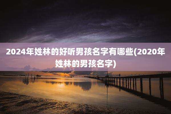 2024年姓林的好听男孩名字有哪些(2020年姓林的男孩名字)
