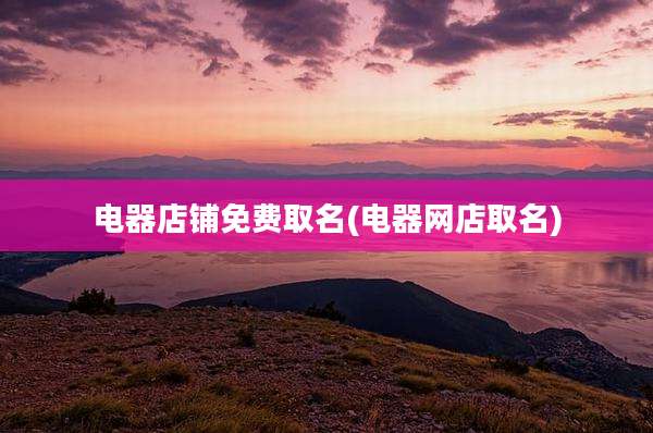 电器店铺免费取名(电器网店取名)