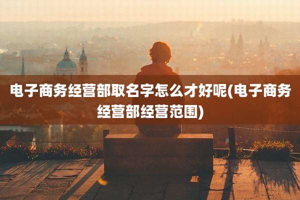电子商务经营部取名字怎么才好呢(电子商务经营部经营范围)