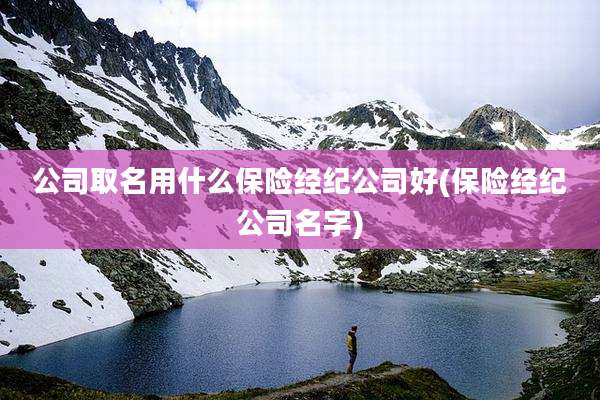 公司取名用什么保险经纪公司好(保险经纪公司名字)