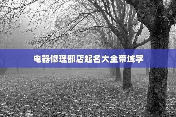 电器修理部店起名大全带域字