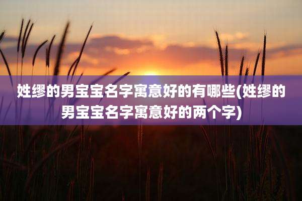 姓缪的男宝宝名字寓意好的有哪些(姓缪的男宝宝名字寓意好的两个字)