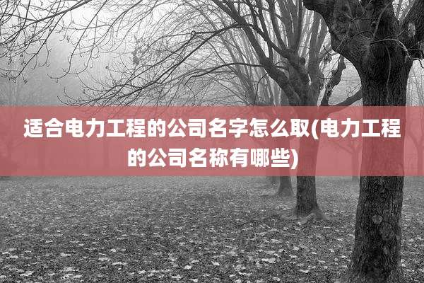 适合电力工程的公司名字怎么取(电力工程的公司名称有哪些)