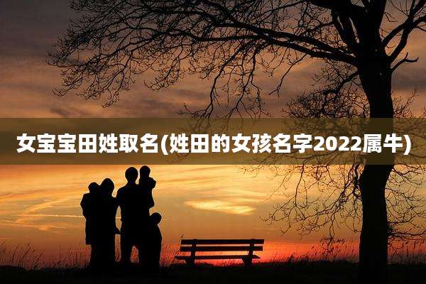 女宝宝田姓取名(姓田的女孩名字2022属牛)