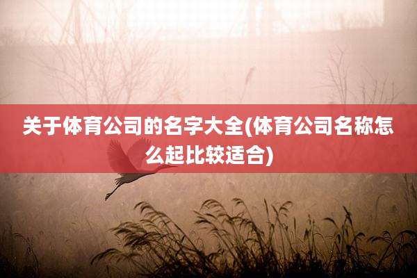 关于体育公司的名字大全(体育公司名称怎么起比较适合)