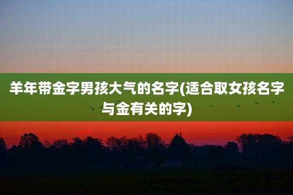 羊年带金字男孩大气的名字(适合取女孩名字与金有关的字)