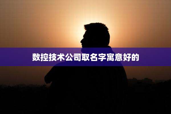 数控技术公司取名字寓意好的