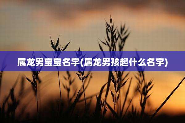 属龙男宝宝名字(属龙男孩起什么名字)