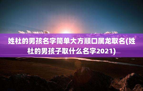 姓杜的男孩名字简单大方顺口属龙取名(姓杜的男孩子取什么名字2021)