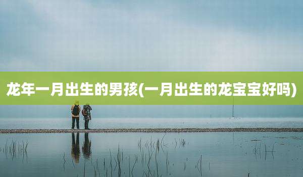 龙年一月出生的男孩(一月出生的龙宝宝好吗)